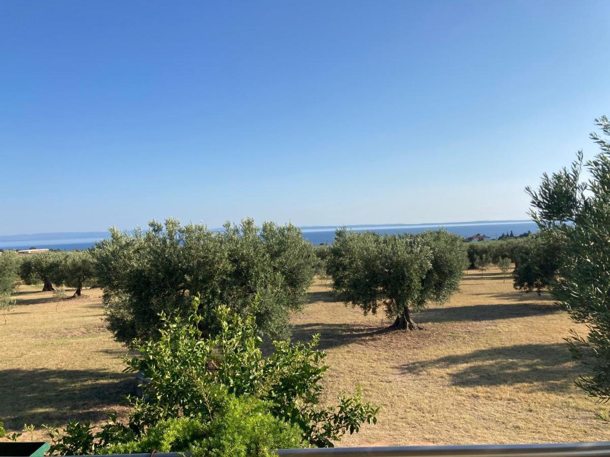 Villa Giannoula Gerakini Exterior photo