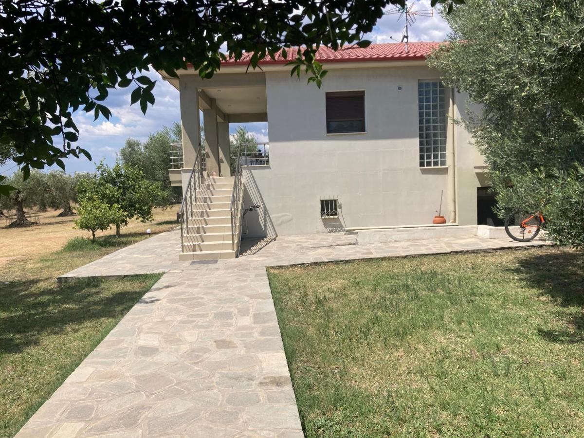 Villa Giannoula Gerakini Exterior photo